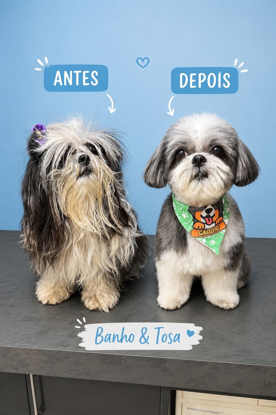Banho e tosa — ambiente do banho e tosa sem gaiolas