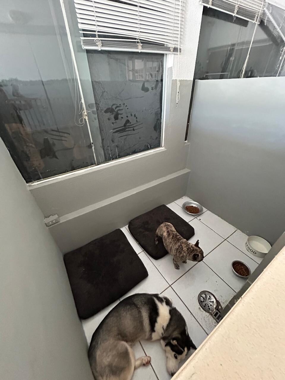 Suíte família — quarto família climatizado